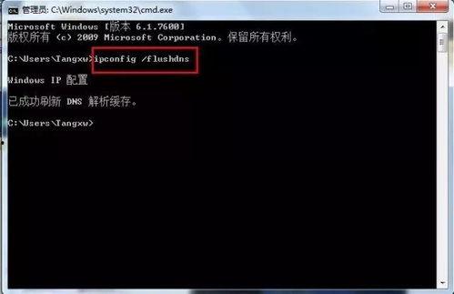 网黑料正页无法打开,网黑料正页无法打开背后的真相