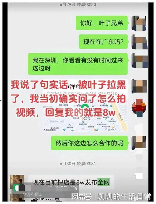 网红叶子换饭黑料被扒,揭秘背后真相与争议