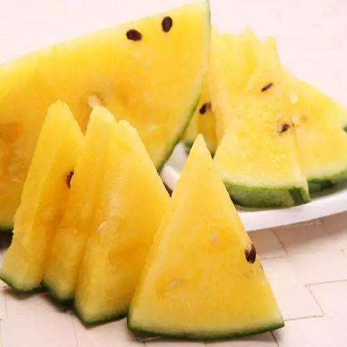 黑瓜吃料网怎么了