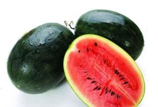 51黑瓜吃料网入口白屏