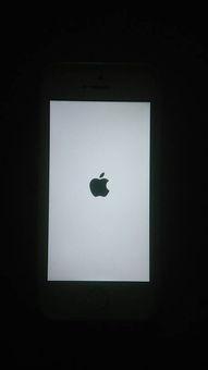 51黑瓜吃料网入口白屏