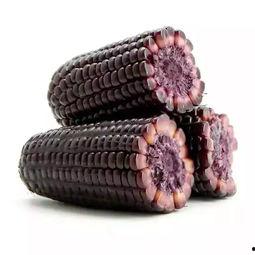 黑巧边角料网红同款,网红同款美食背后的独特魅力